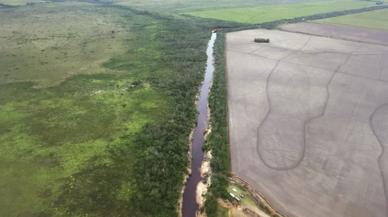 Rio Gravataí (RS) resiste em meio a estiagem, poluição