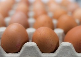 Ovos