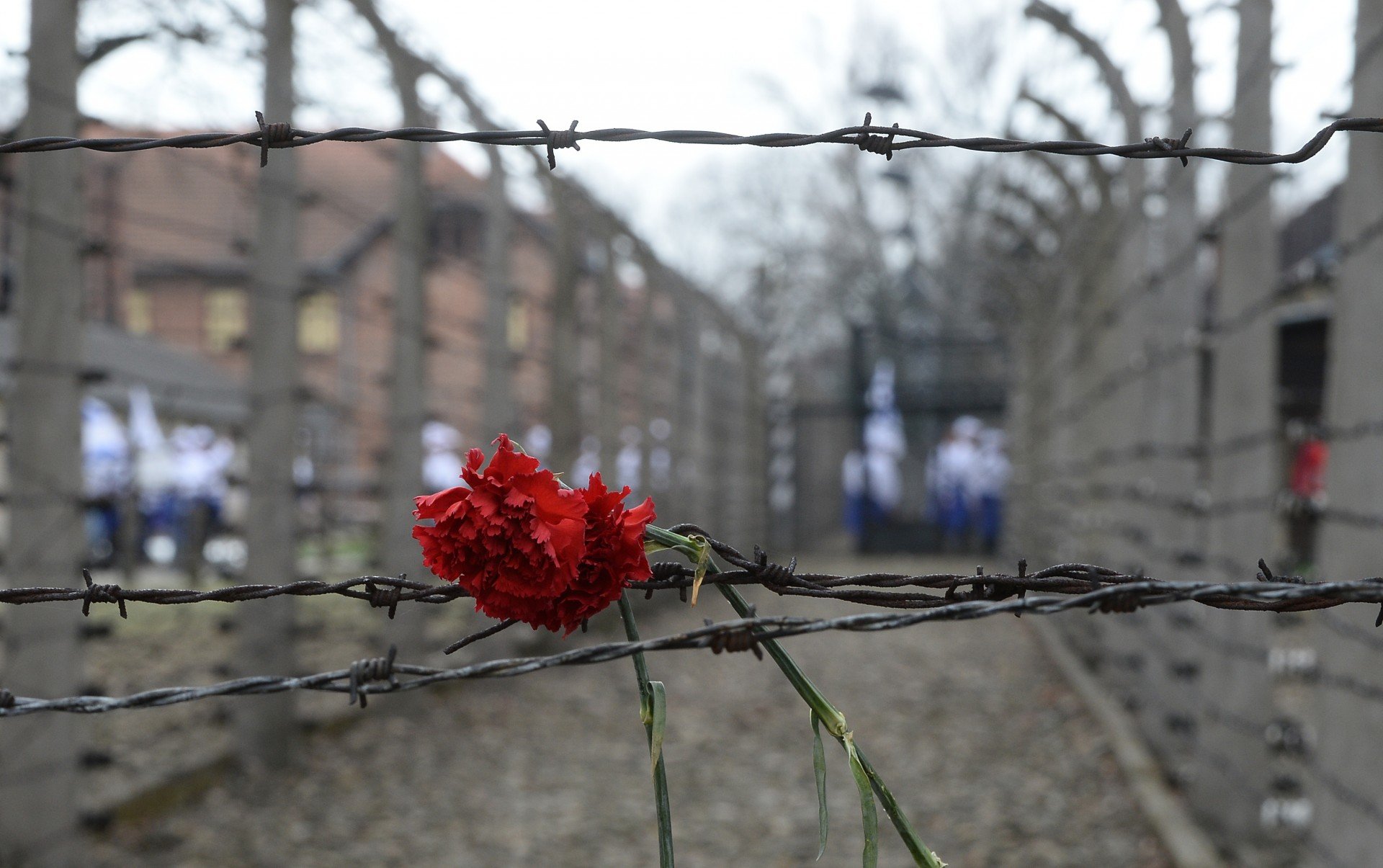 Resultado de imagem para fotos recordando os campos de concentração