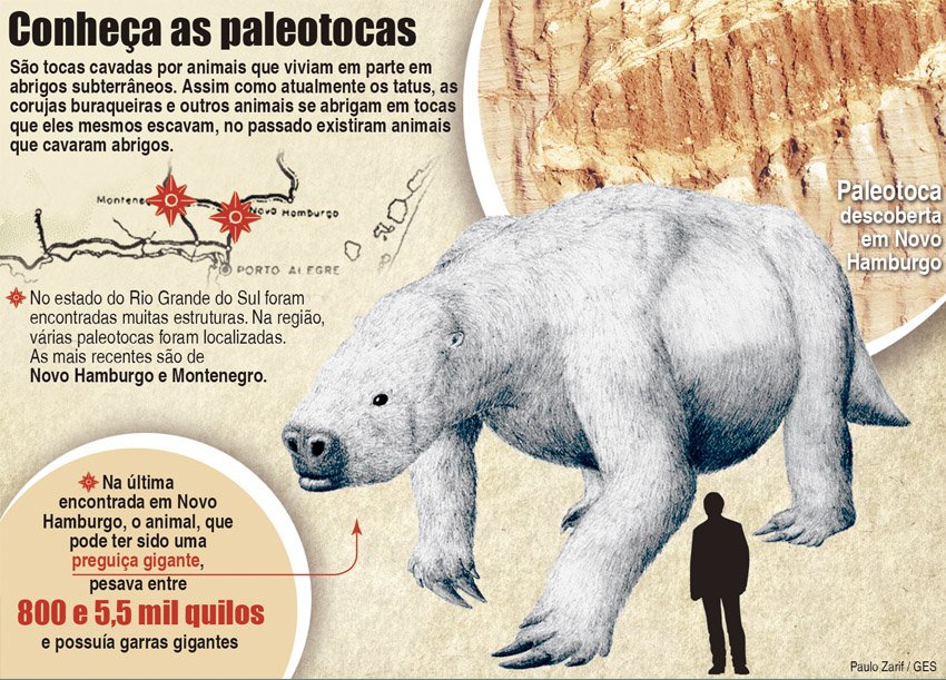 paleotoca, preguiça, toca