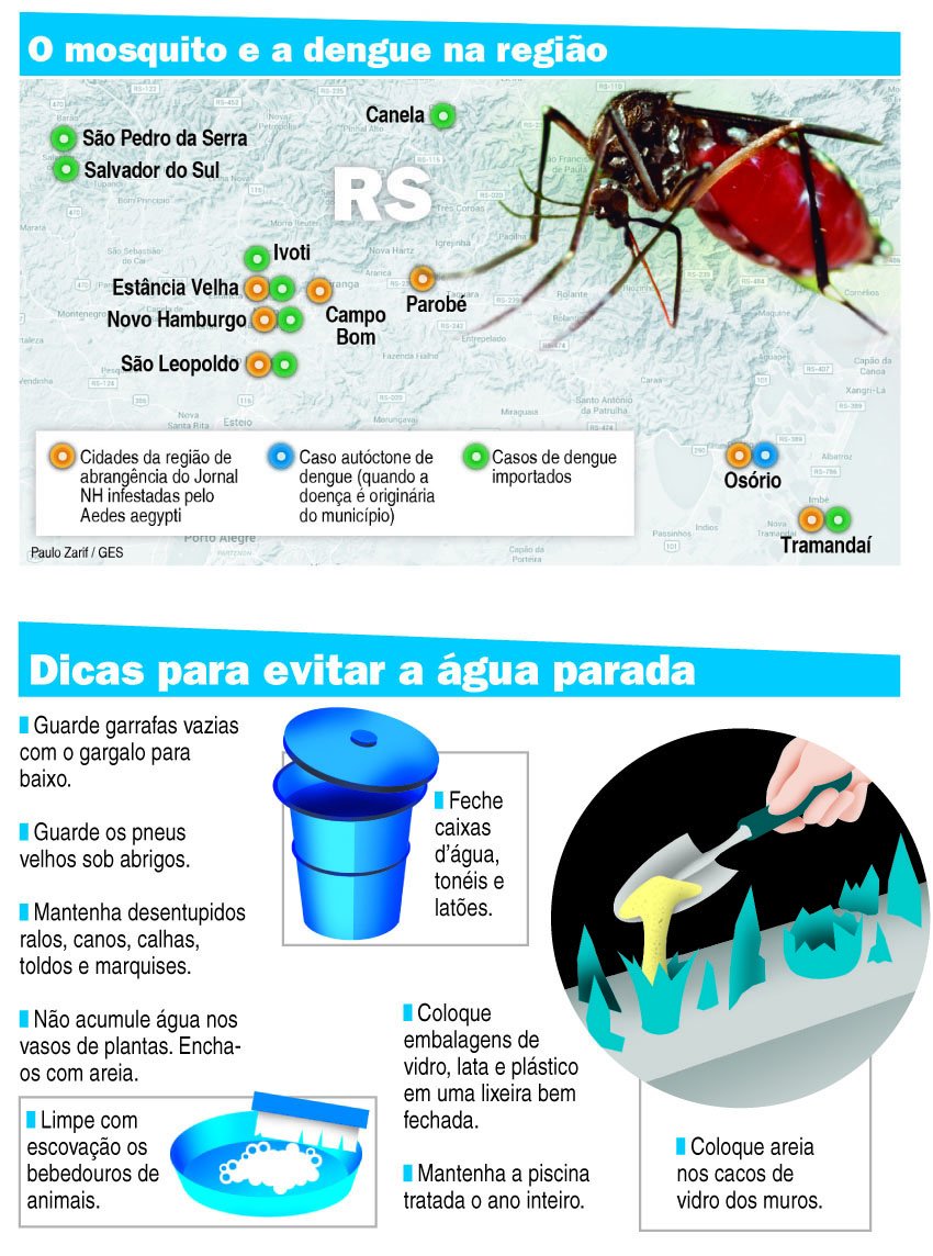Quanto Tempo Depois Da Dengue Posso Malhar