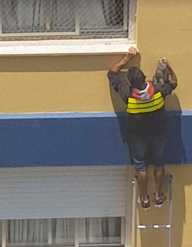 Eliseu Oliveira do Santos, 24 anos, subiu em uma escada para pegar o animal que estava preso do lado de fora do 3º andar de um apartamento