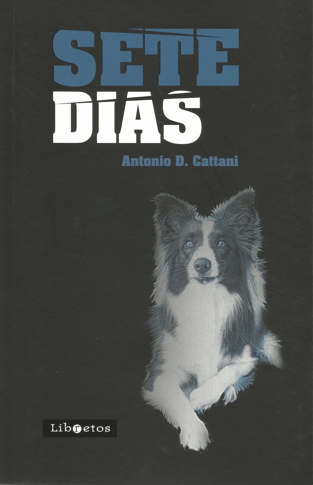 Sete dias