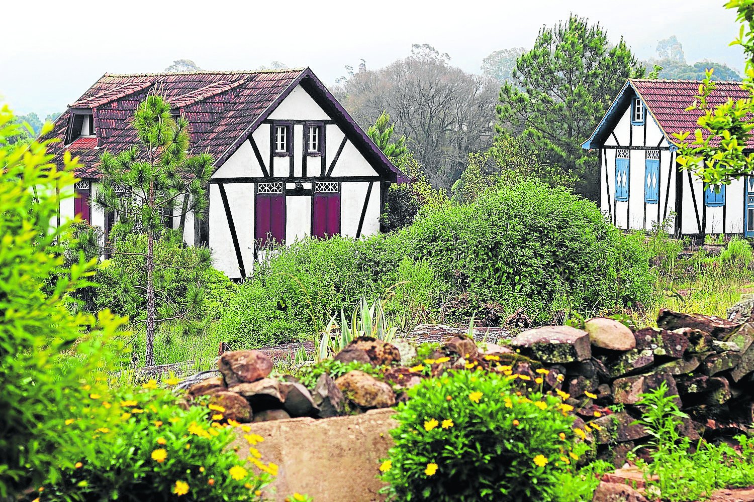 Casas Centenárias - Caminhos Germânicos