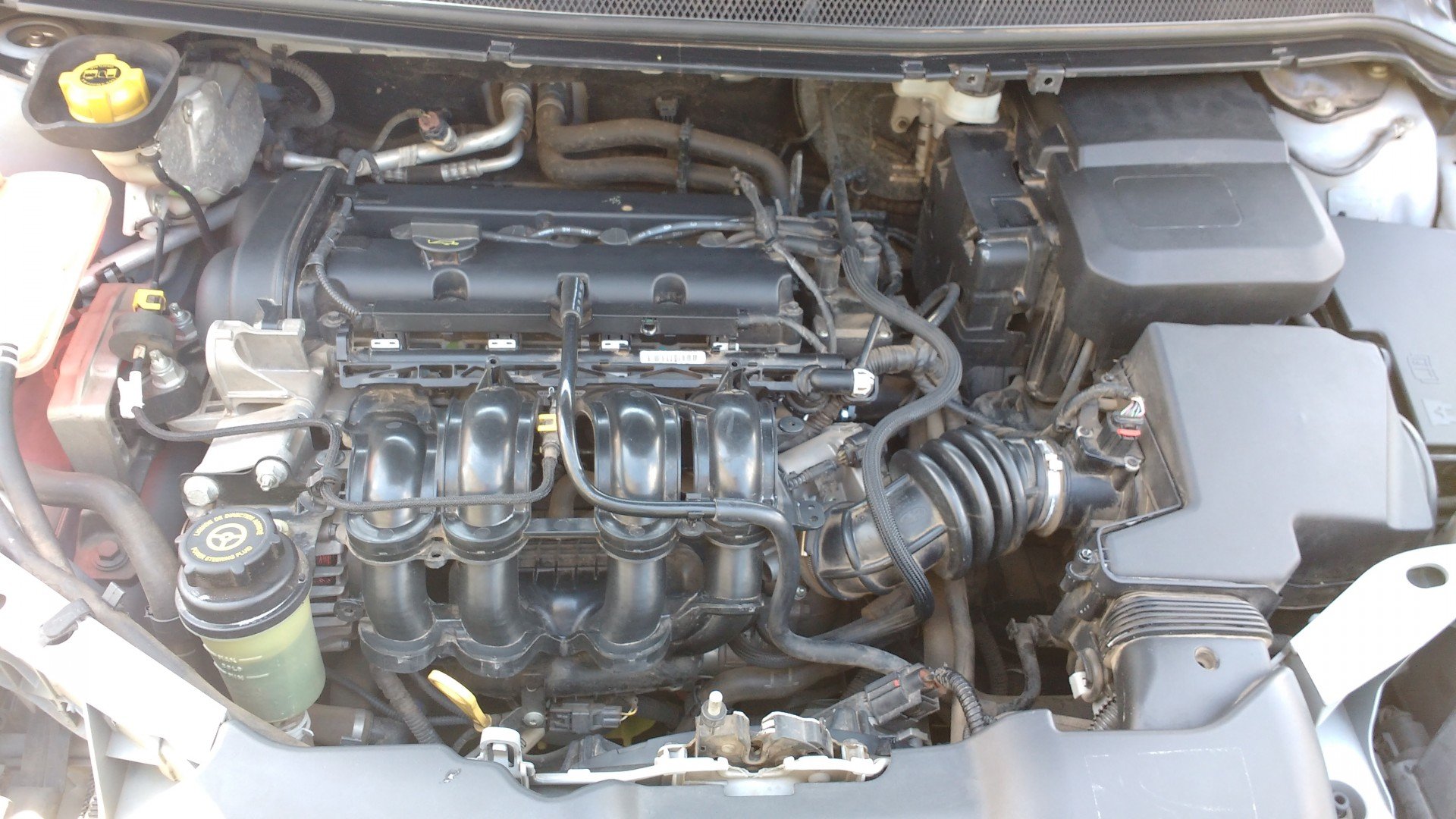 Motor