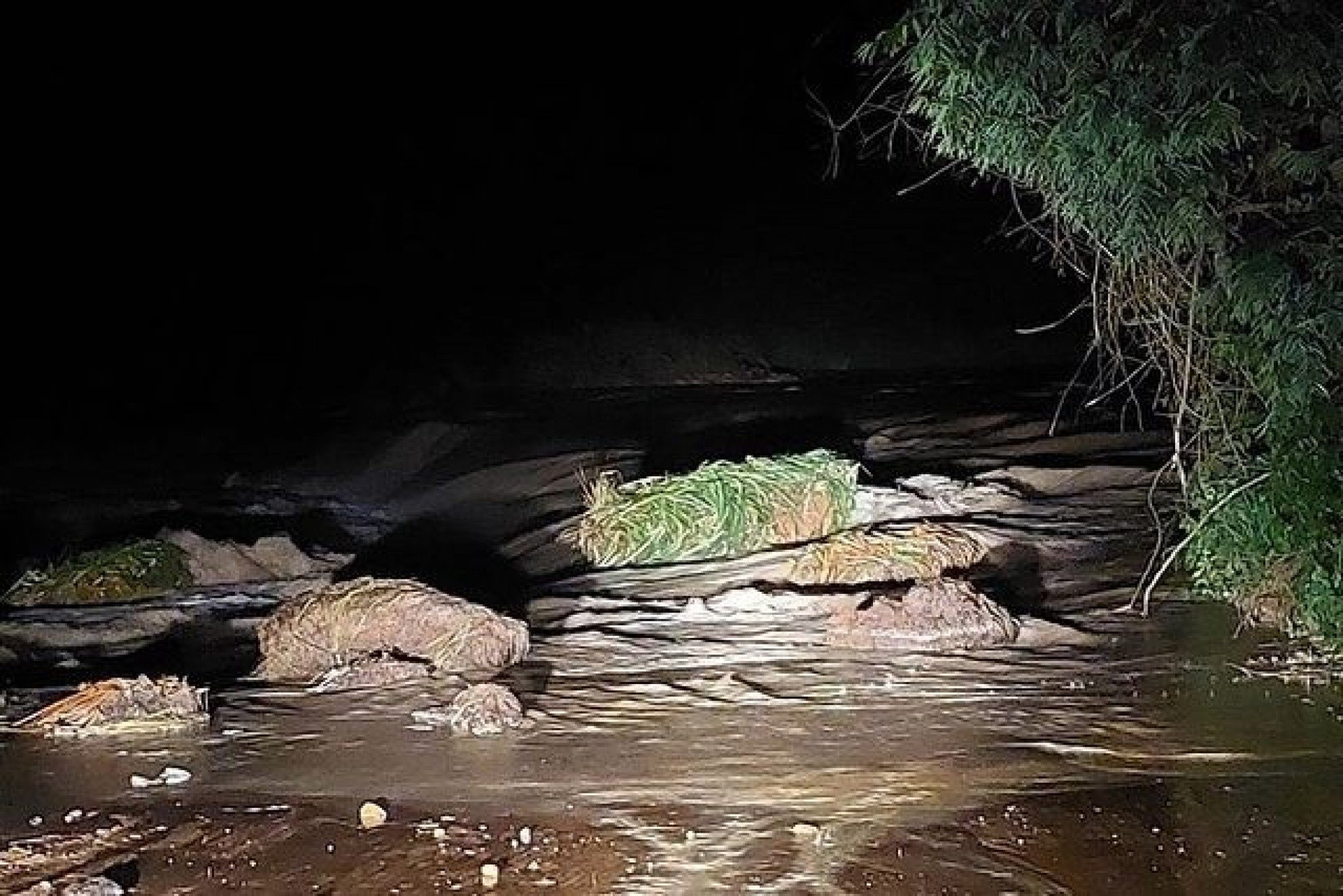 Cidades da Bahia ficam em alerta por rompimento de barragem após forte