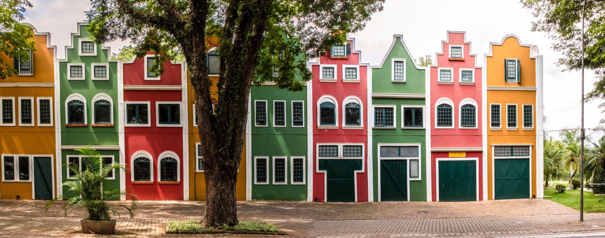 Festa Das Flores De Holambra Volta A Ser Realizada Ap S Dois Anos