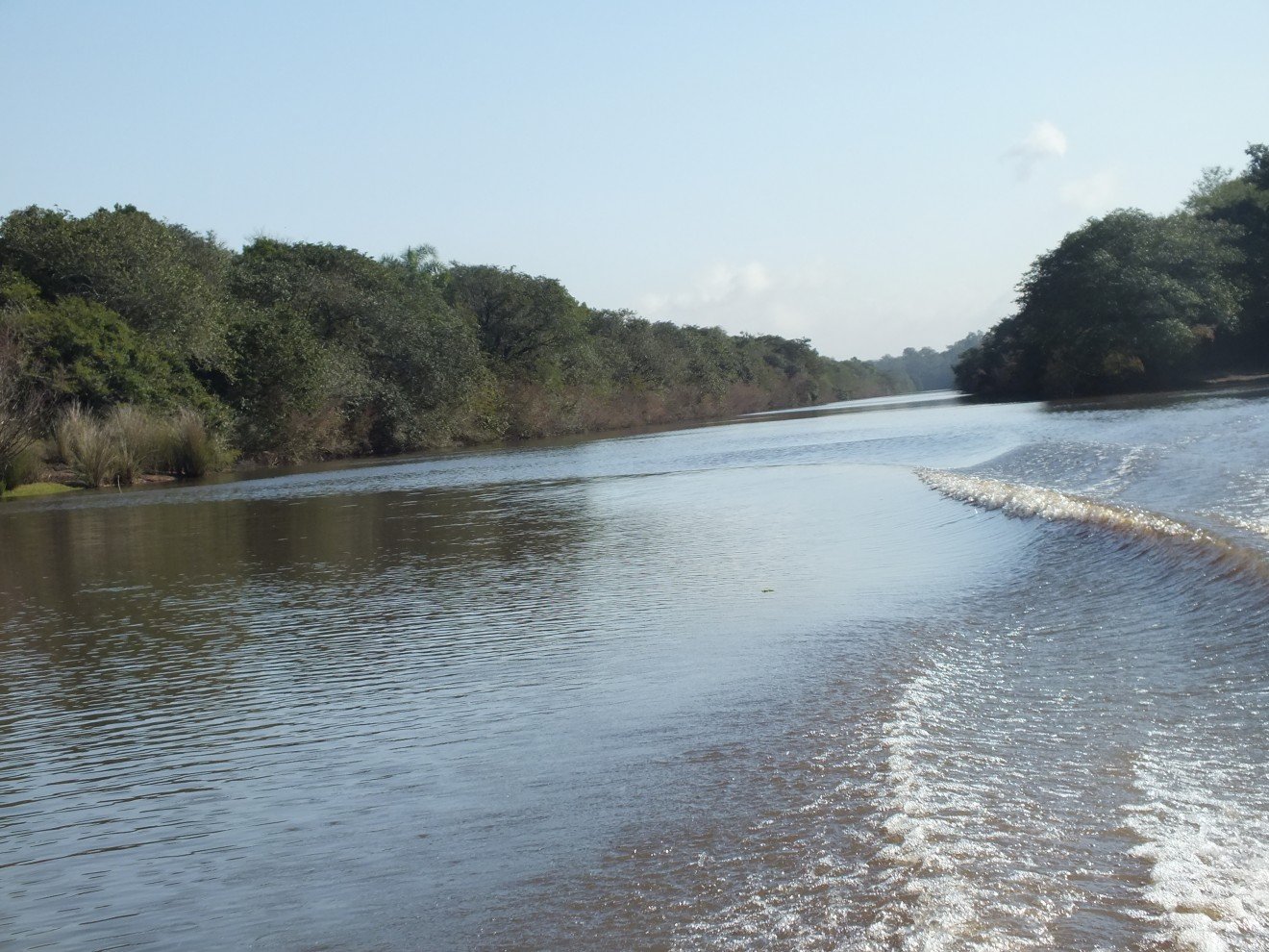 Rio Gravataí (RS) resiste em meio a estiagem, poluição