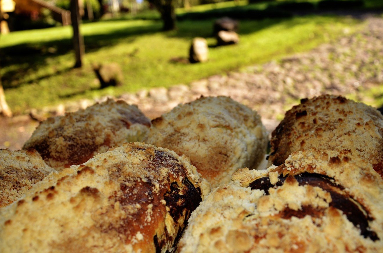 Com bolinho de batata e minicuca: Festa da Colônia contará com oficinas gastronômicas gratuitas