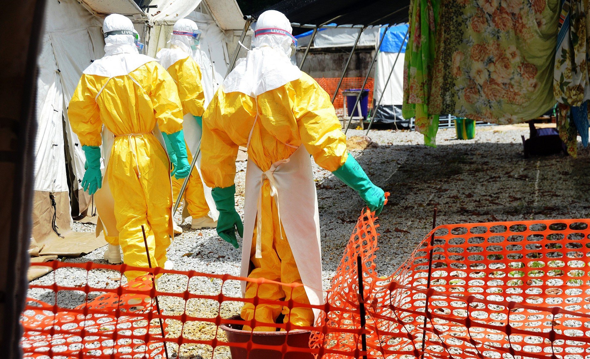 Ebola: Especialistas avaliam risco de disseminação da doença e cenário no Brasil
