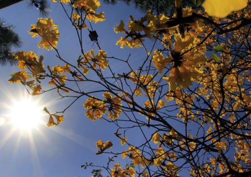 PREVISÃO DO TEMPO: Sol e calor continuam? Saiba o que esperar nesta terça-feira