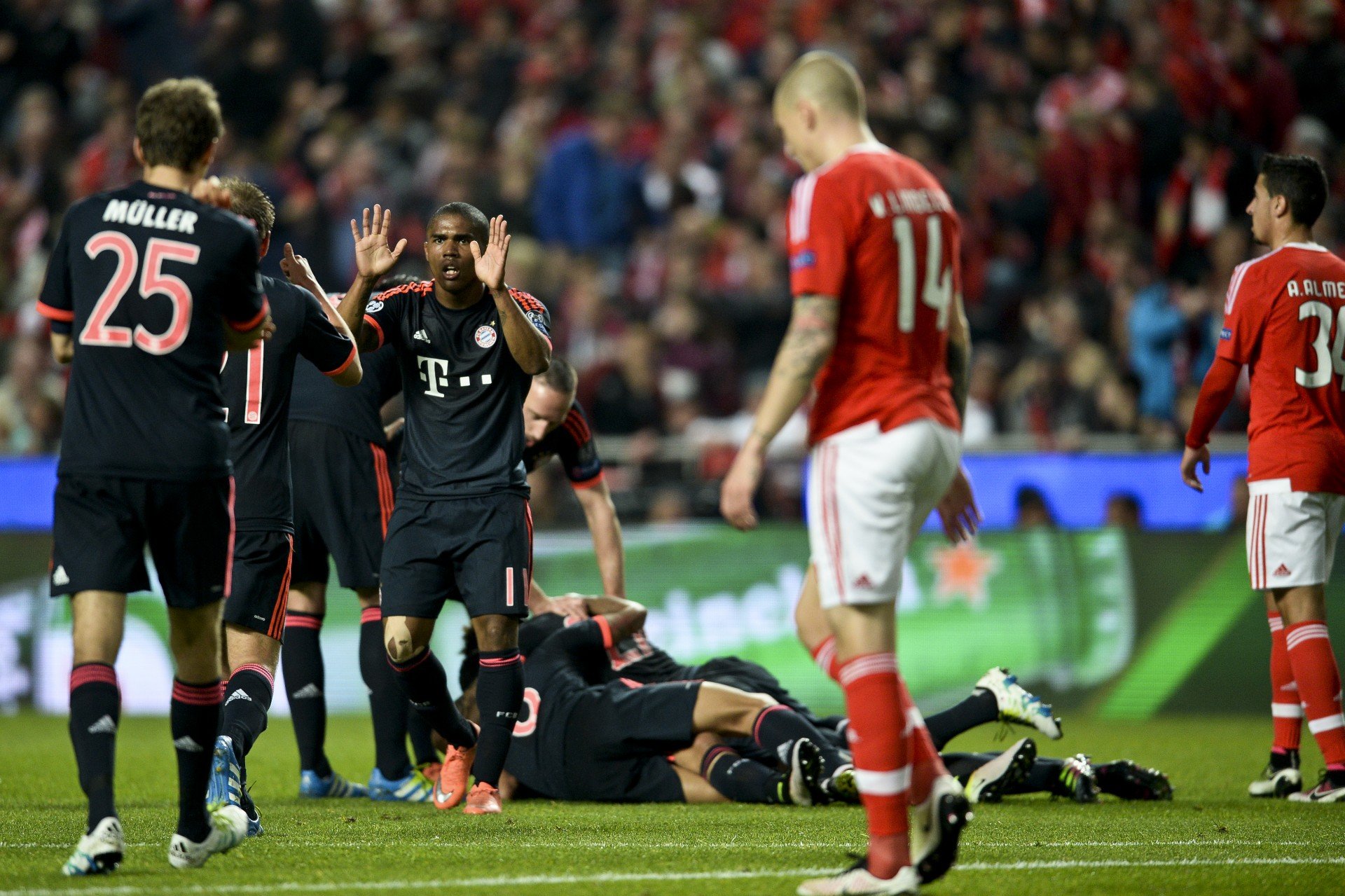Bayern Benfika Bayern Benfika