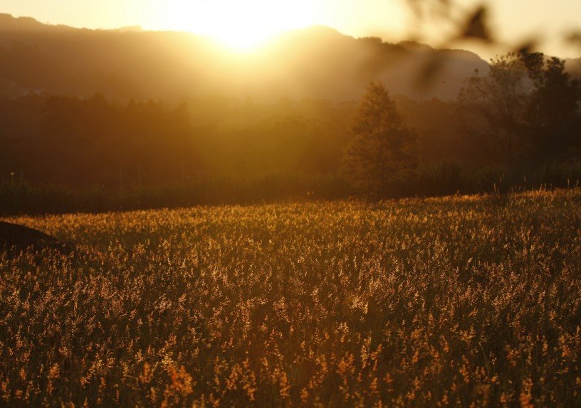 Paisagem de outono no entardecer de Bom Fim Baixo, em Bom Princípio