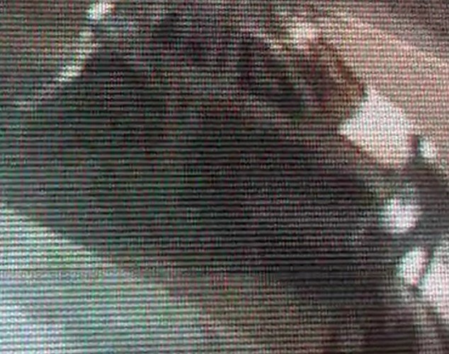Mulher morre após ser atropelada e arrastada por 100m; motorista fugiu