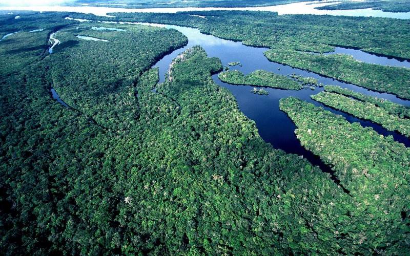 Ministro da Noruega diz que pa&iacute;s retornar&aacute; ao Fundo Amaz&ocirc;nia