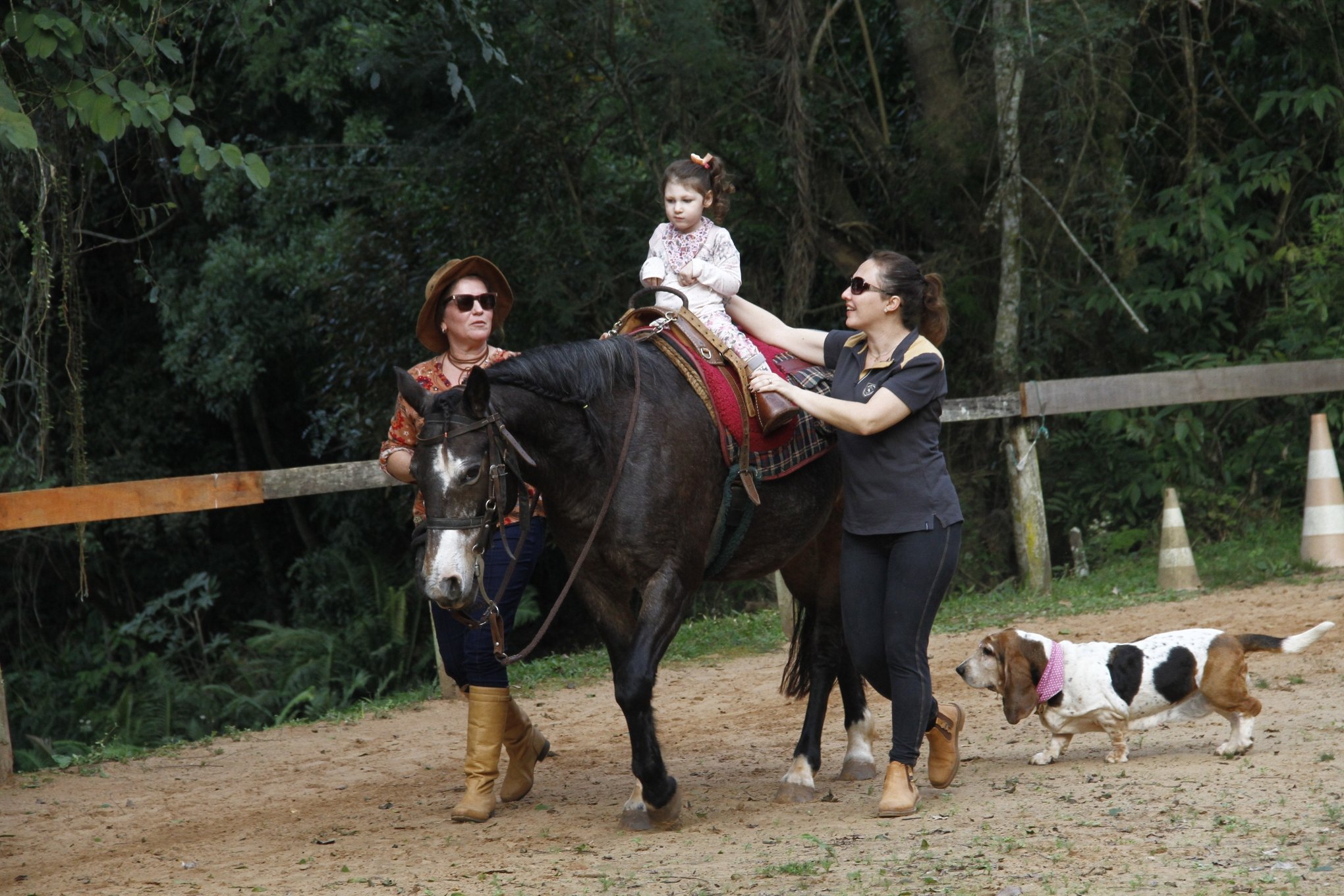 Por que os cavalos são bons para as crianças