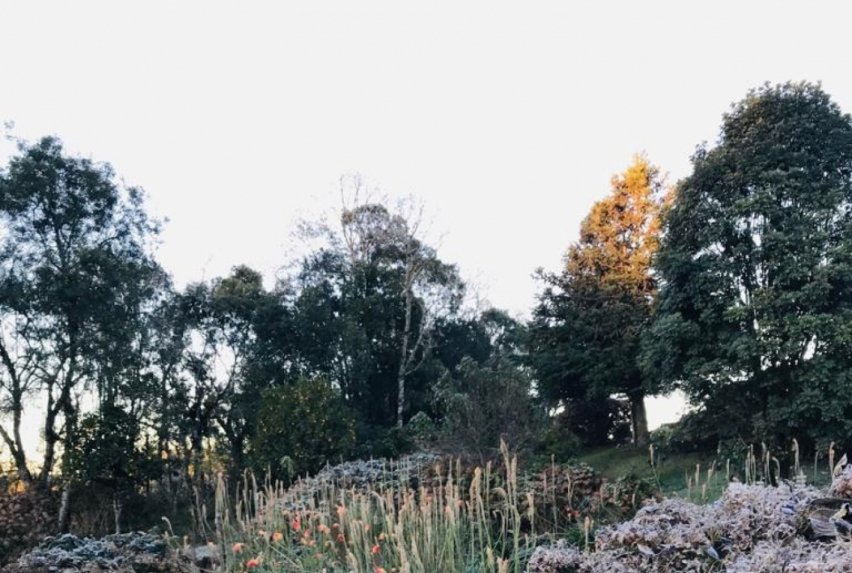 Câmara de Gramado sediará evento com apresentação de dados sobre biodiversidade da Linha Tapera