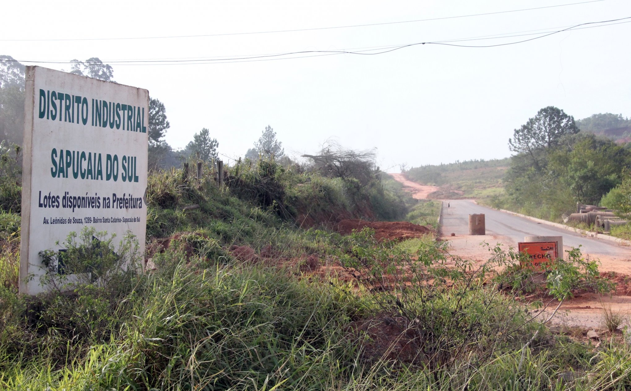 MATAGAL: no local que deve abrigar o distrito, o que se vê é a terraplanagem tomada pelo mato