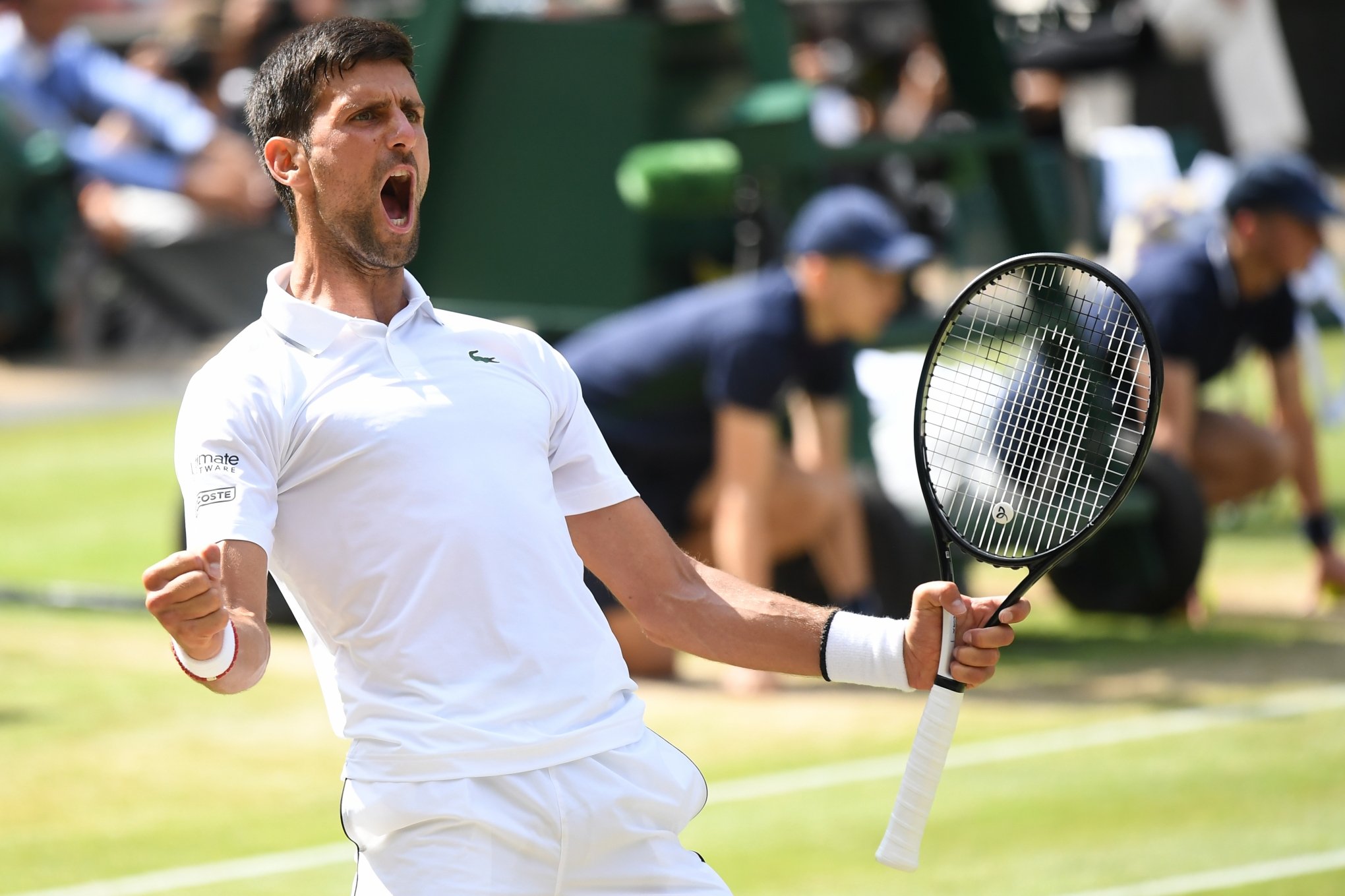 Novak Djokovic vai buscar quinto título na grama de Wimbledon