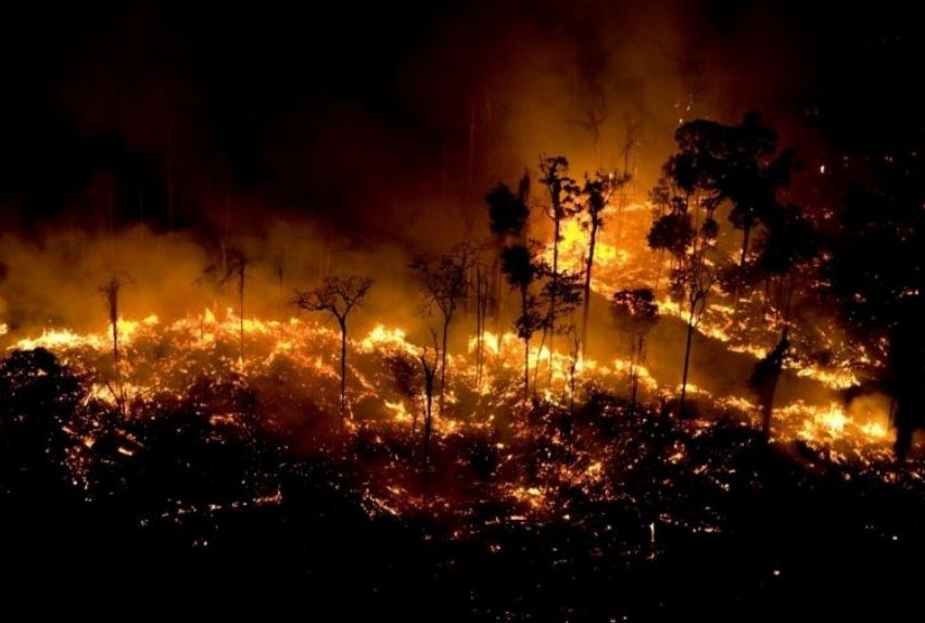Foco de incêndio na Floresta Amazônia em São Félix do Xingu, no Pará, registrado pelo Greenpeace | abc+