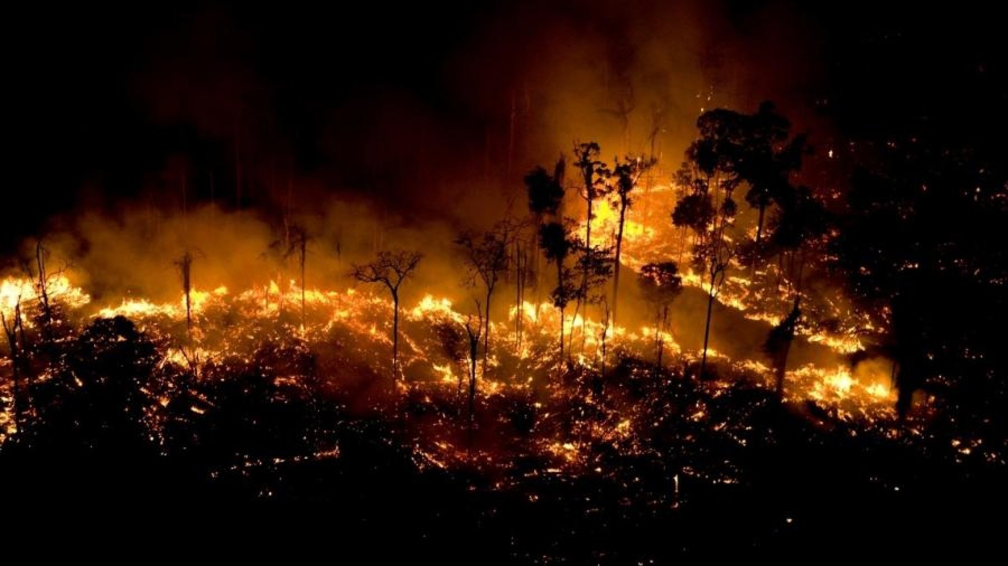 STF conclui pauta verde e manda governo criar plano contra queimadas na Amazônia e Pantanal
