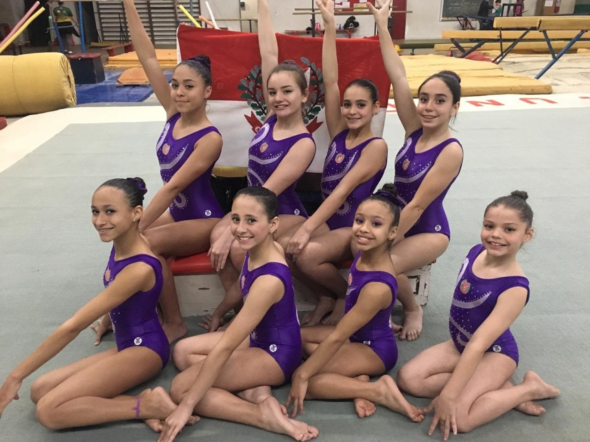 Porto Alegre Gymnastics Society - SOGIPA - Porto Alegre