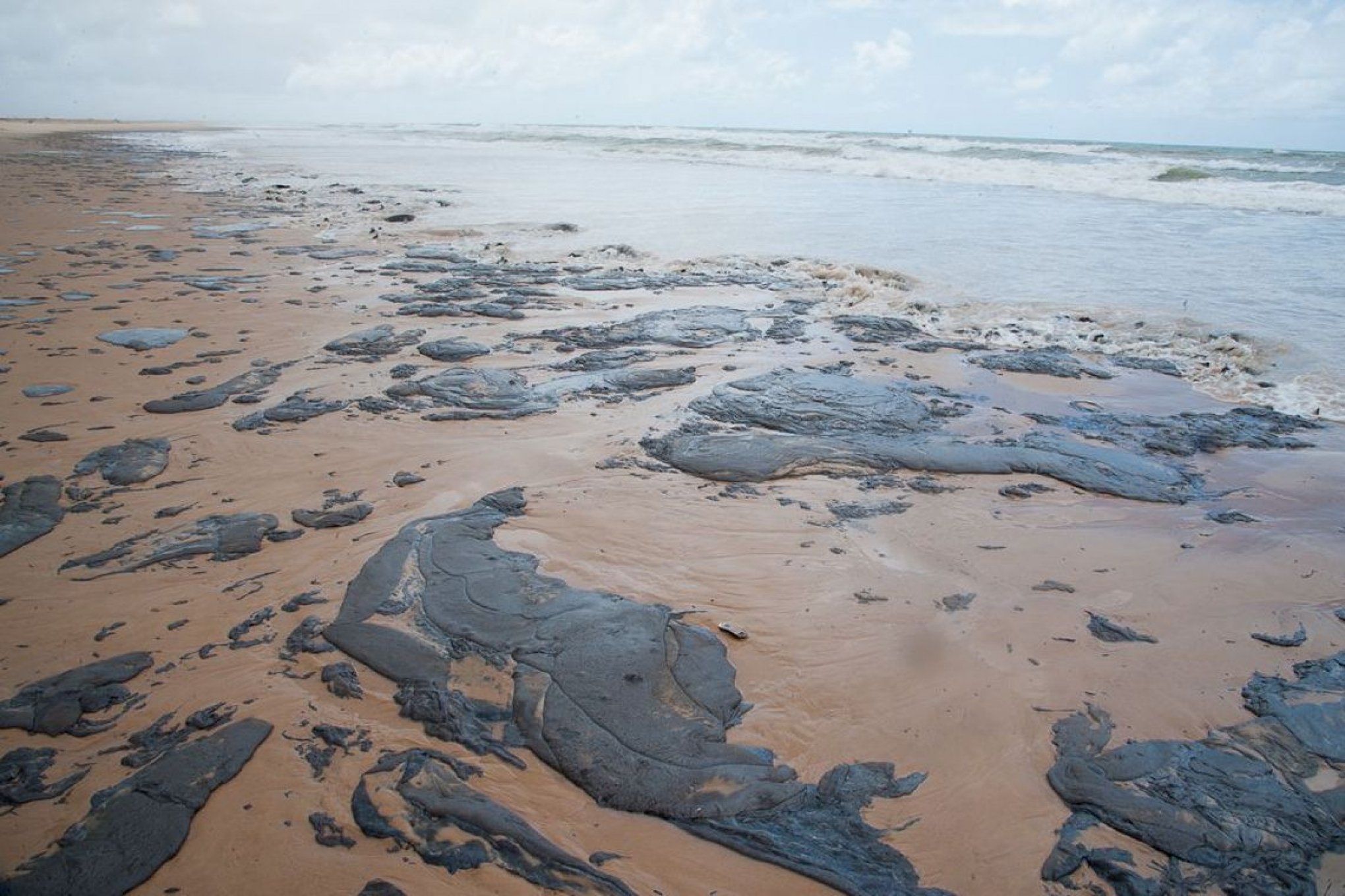 Resultado de imagem para manchas de óleo no nordeste
