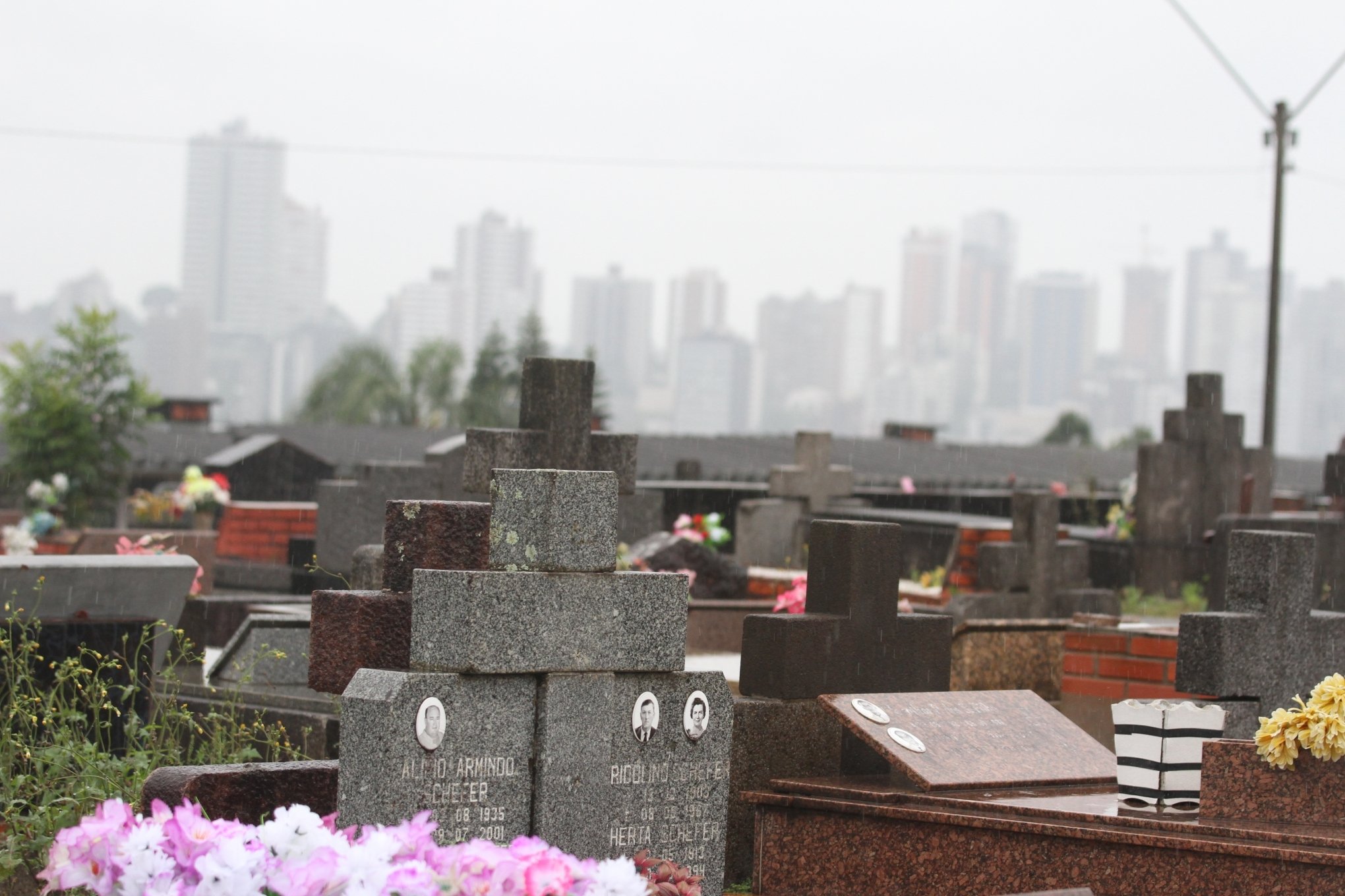 Descubra por que centenas de restos mortais podem ser retirados de túmulos de cemitério em Novo Hamburgo