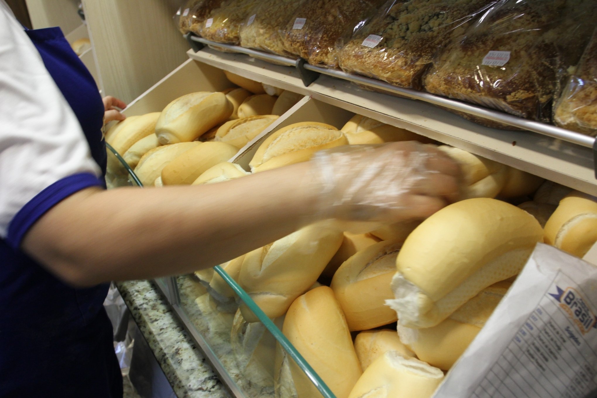 Preço do pão francês pode ficar 12% mais caro a partir de segunda-feira; entenda