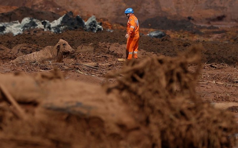 brumadinho 