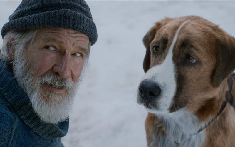 Harrison Ford em O Chamado da Floresta na Sessão da Tarde | Jornal NH
