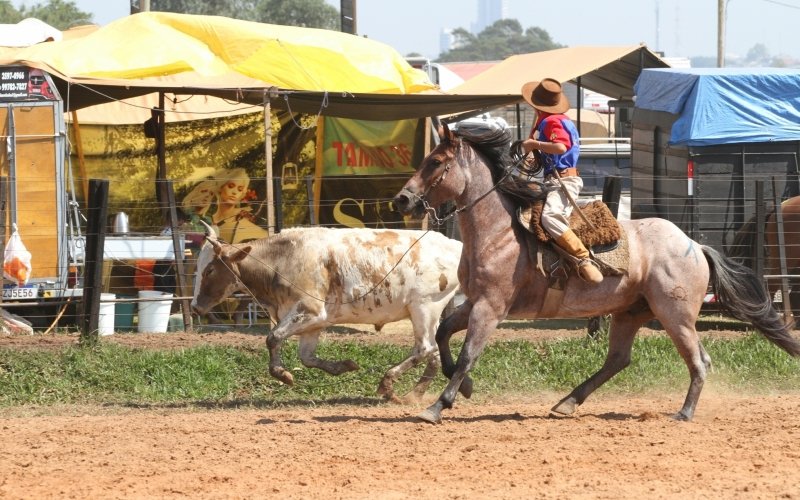 De rodeio a carnaval: confira os eventos que movimentam a região neste fim de semana