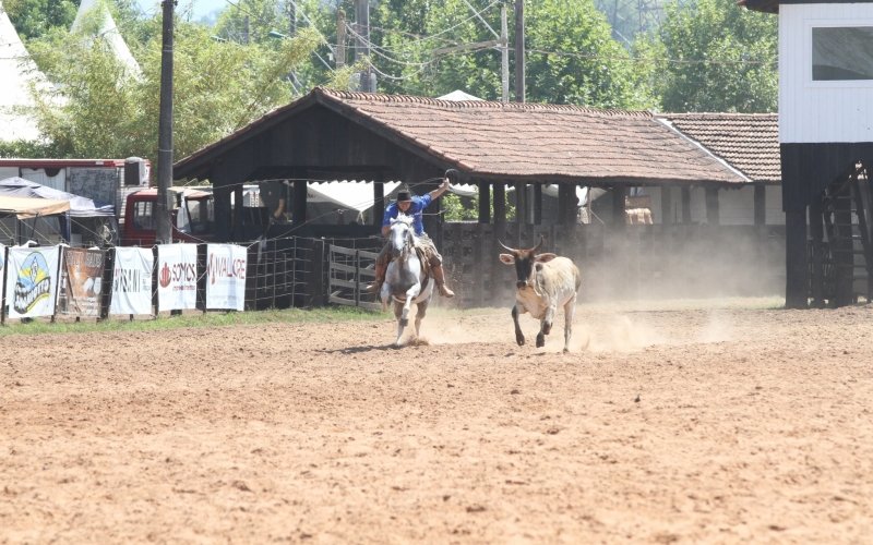 Rodeio Campo Bom, tiro de laço