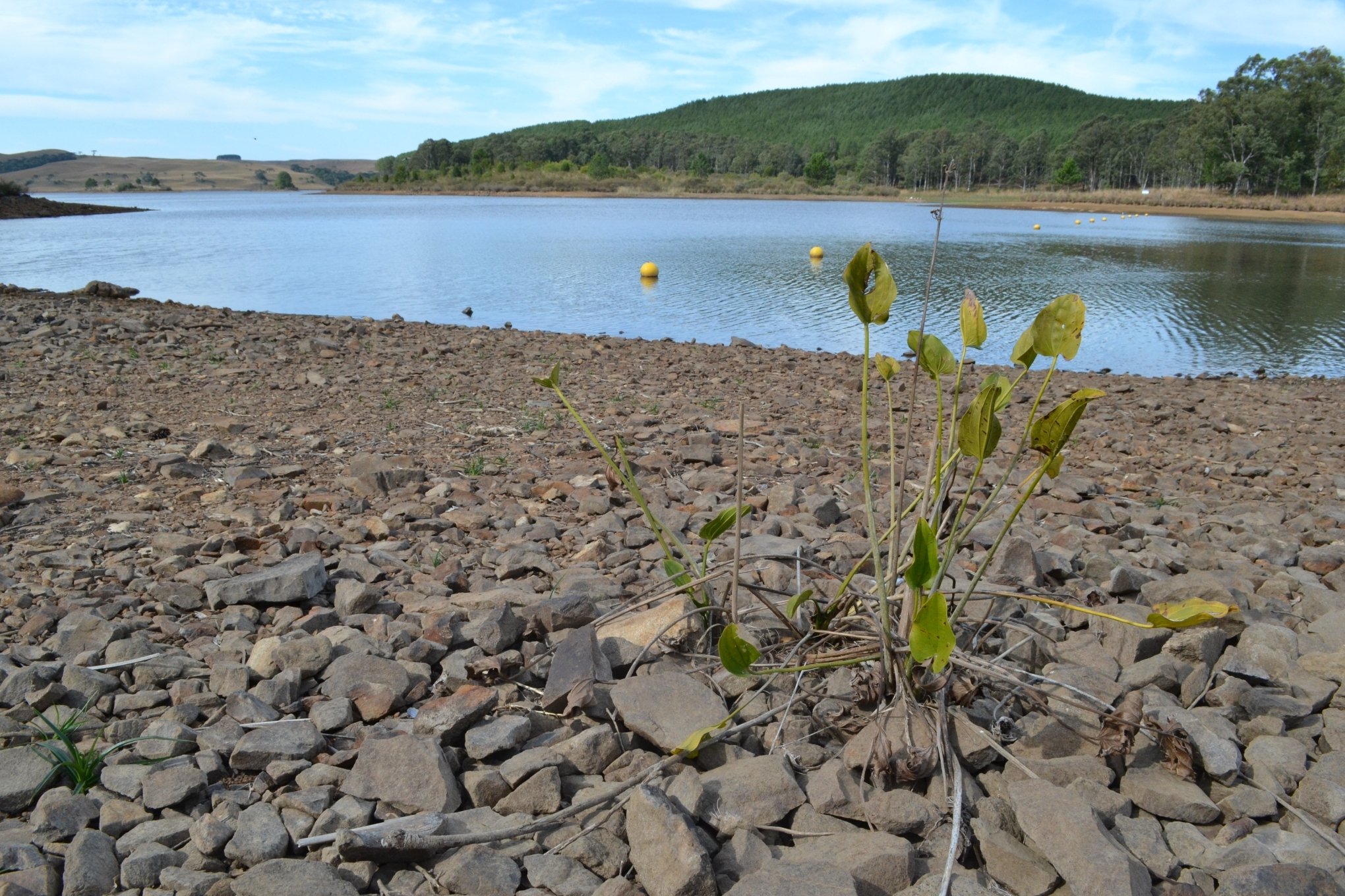 O fenômeno La Niña está de volta: o que isso significa para o