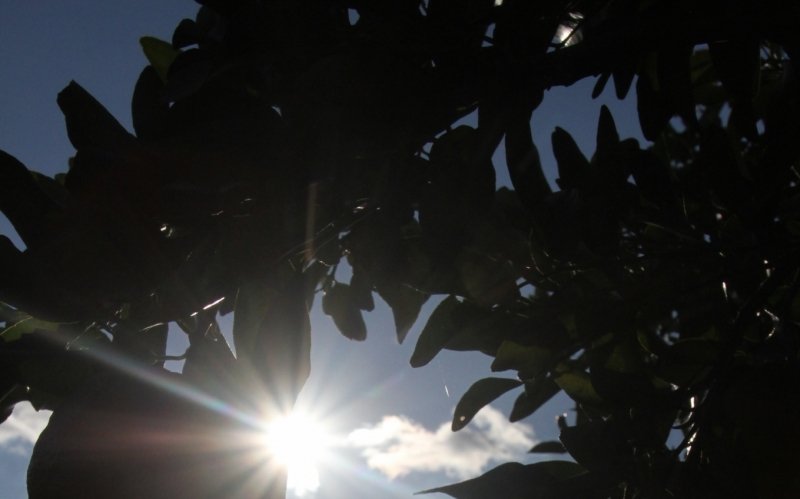 Sol até domingo | abc+
