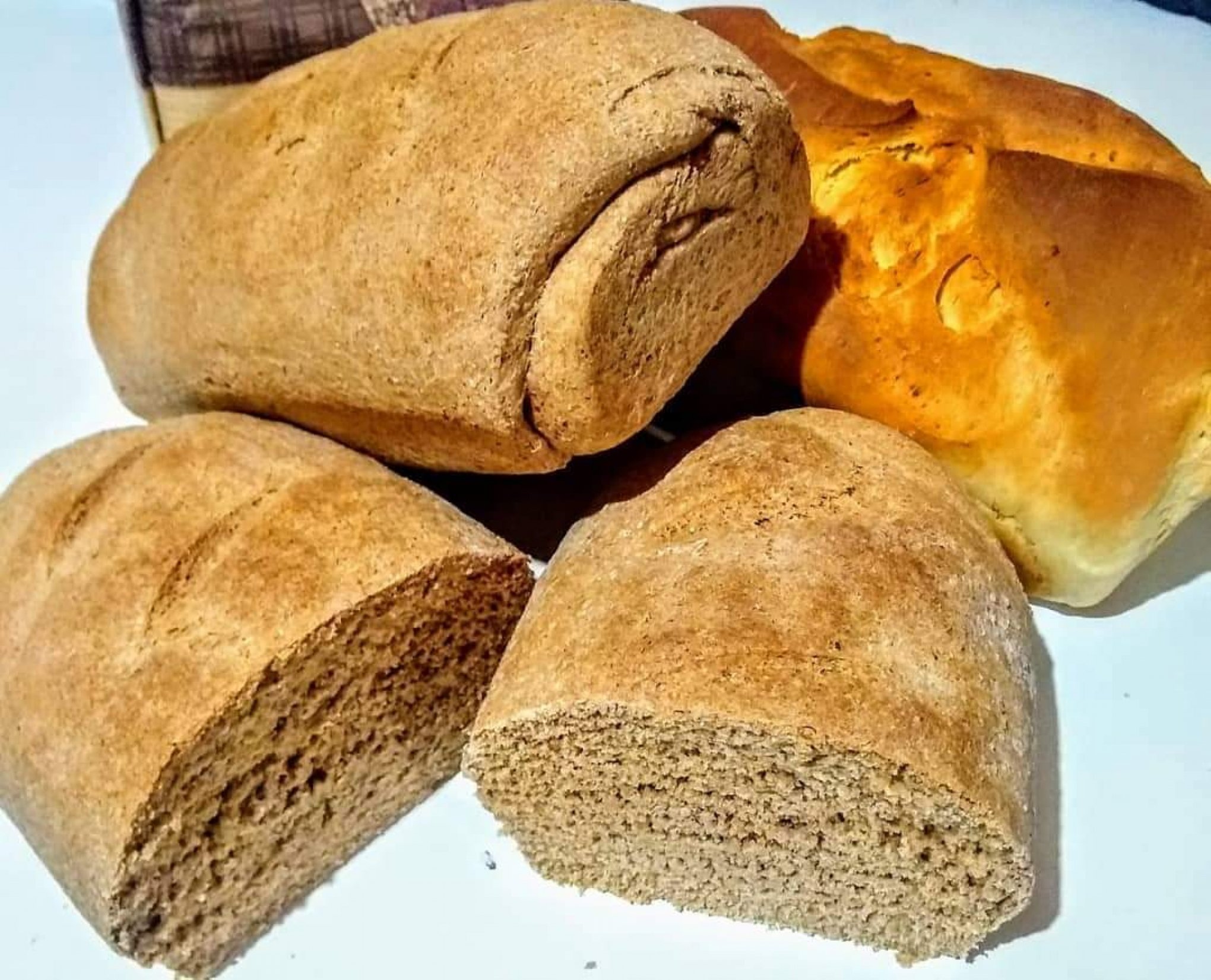 Herança na padaria: pão de aipim, milho e com abóbora é coisa dos imigrantes