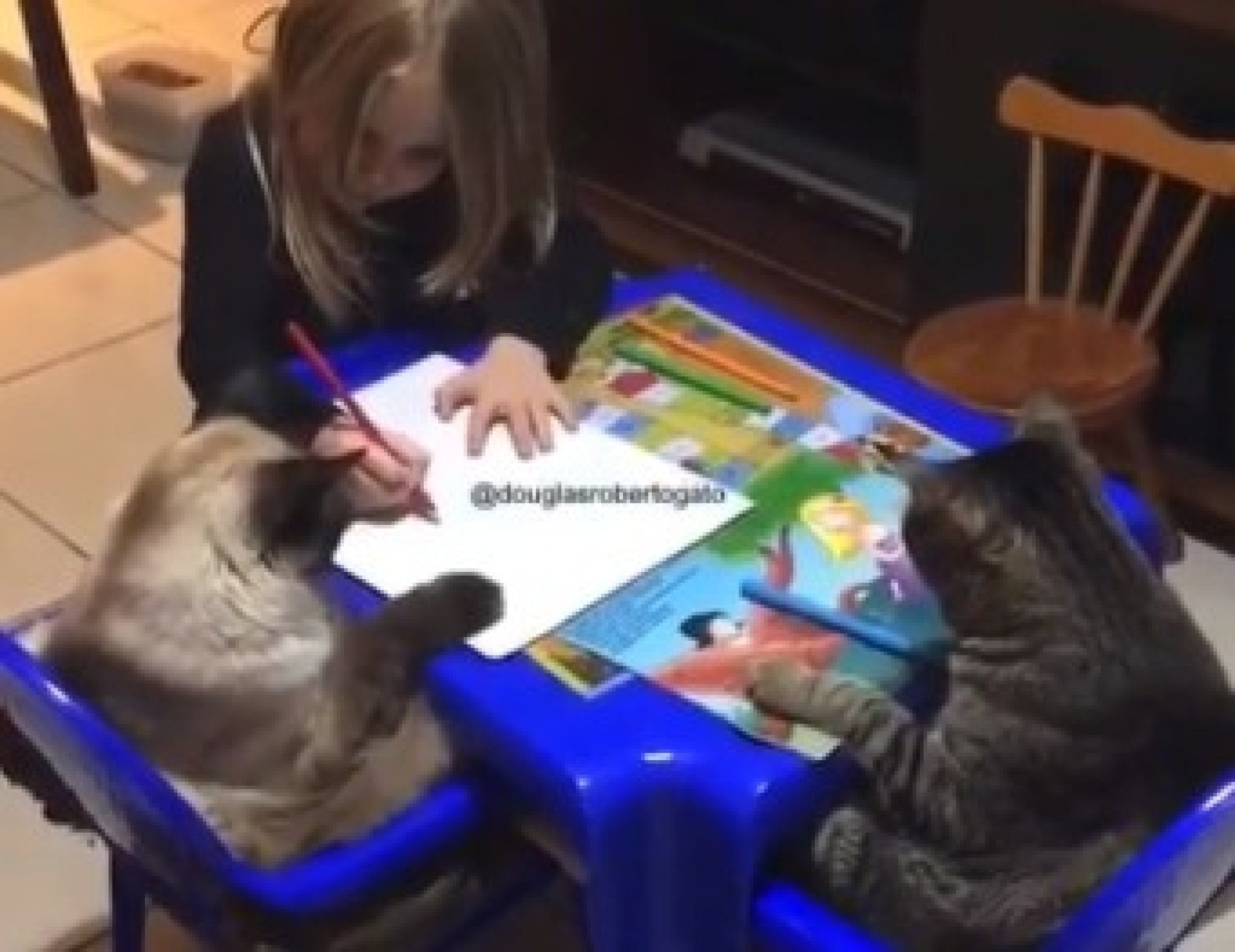 Página Mostra Como Aprender Desenhar Desenho Gato Aulas Desenho