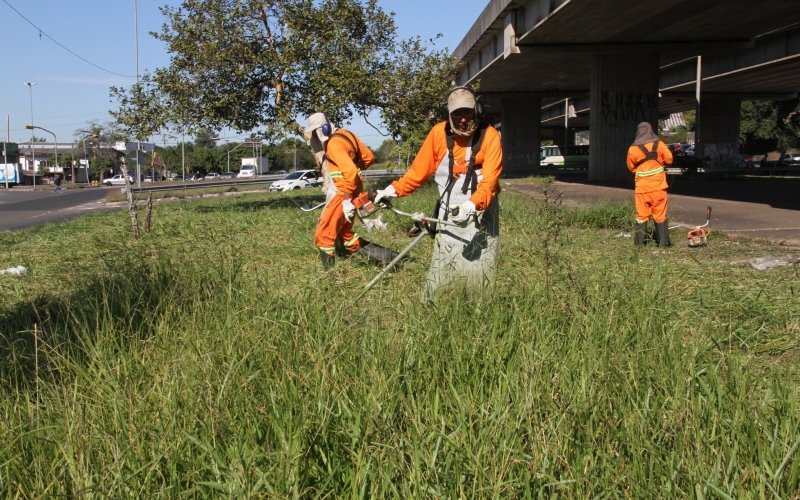 Serviços de manutenção alteram o trânsito na BR-116 e na free way até sábado