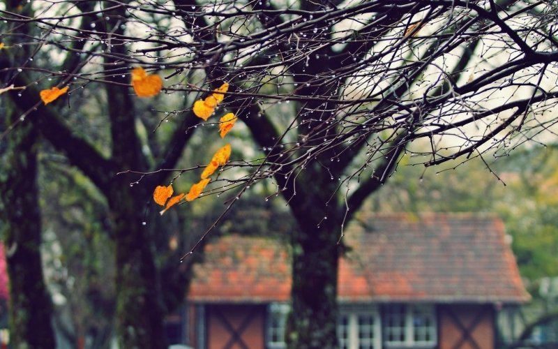 Confira como ficam as temperaturas até o fim do inverno | Jornal NH