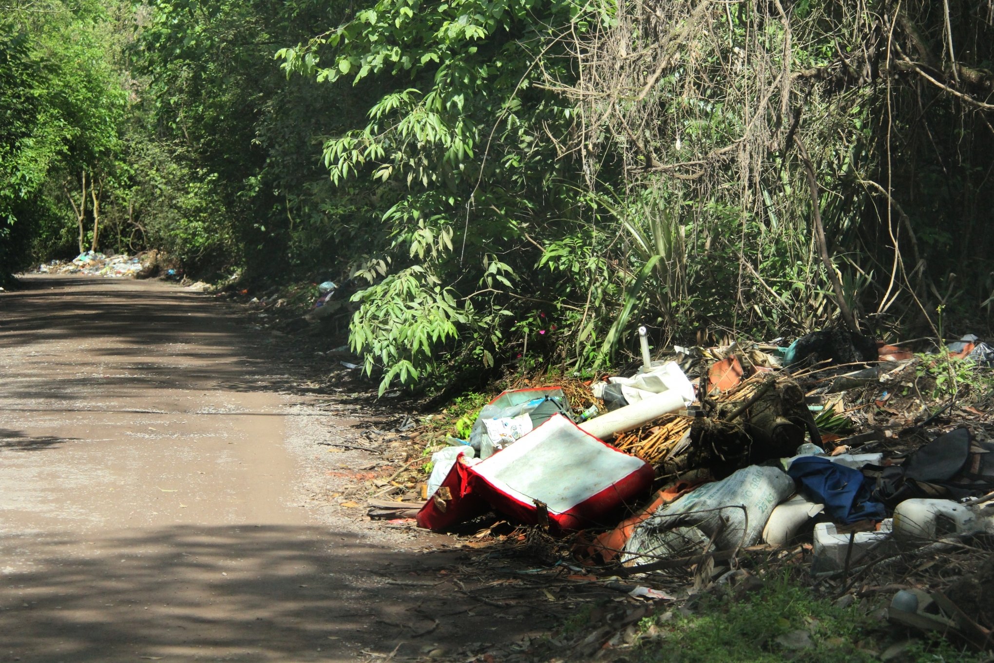 Descarte de lixo irregular passa de 400 toneladas mensais em São Leopoldo