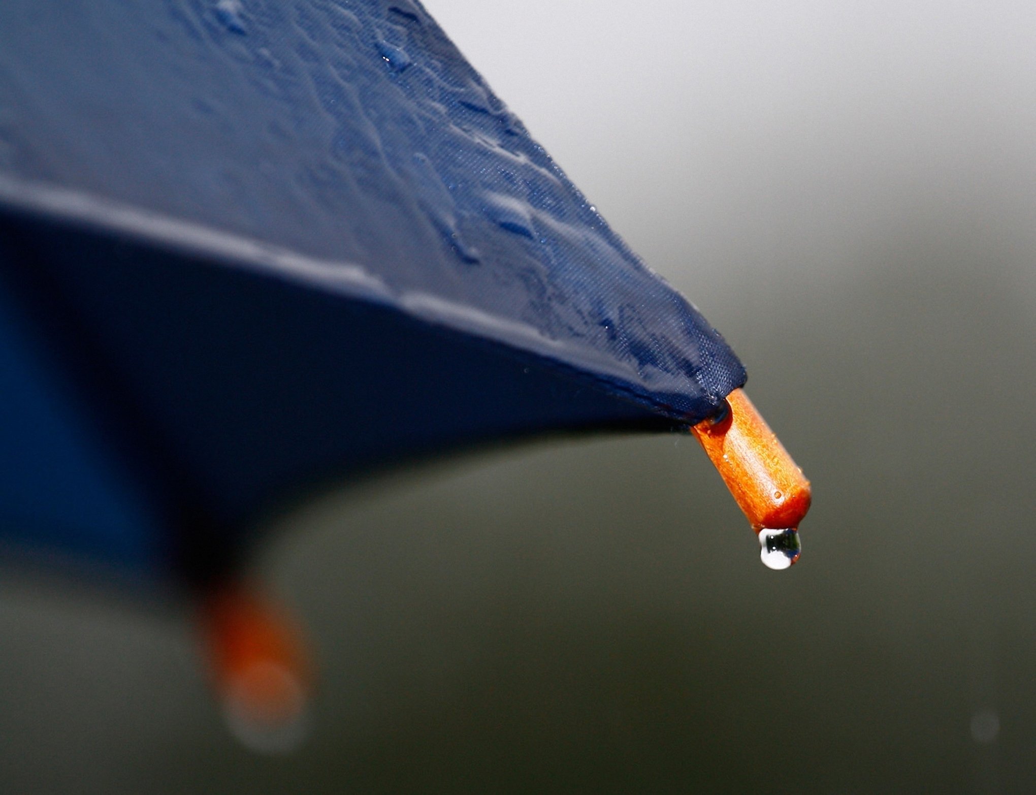 Aproveite o sol e prepare o guarda-chuva: Instabilidade tem data para chegar no RS