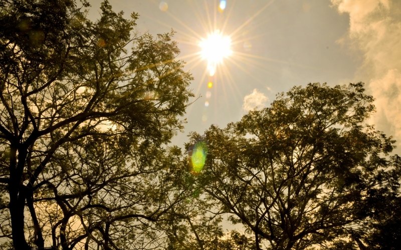 Quando chove e quando faz sol neste fim de semana? Veja o que esperar | abc+