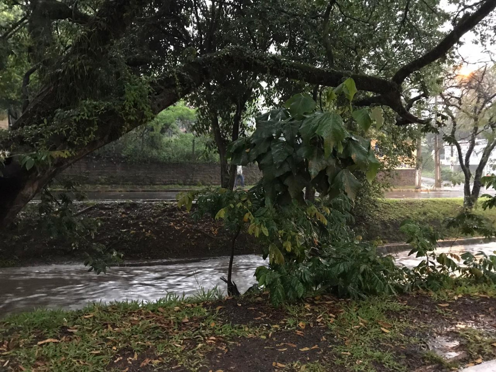 Chuva dá trégua na estiagem em cidades da região - Região - Jornal NH