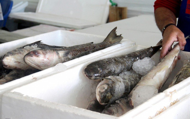 Sapucaia do Sul abre inscrições para Feira do Peixe