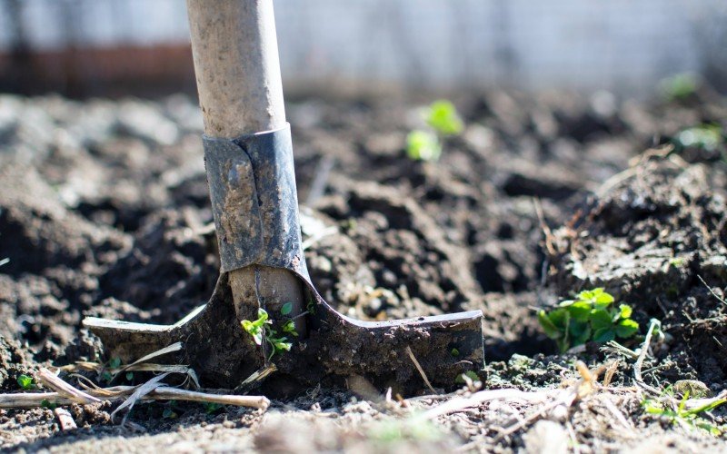 Governo federal disponibiliza crédito de R$ 200 milhões para agricultores gaúchos atingidos pela estiagem