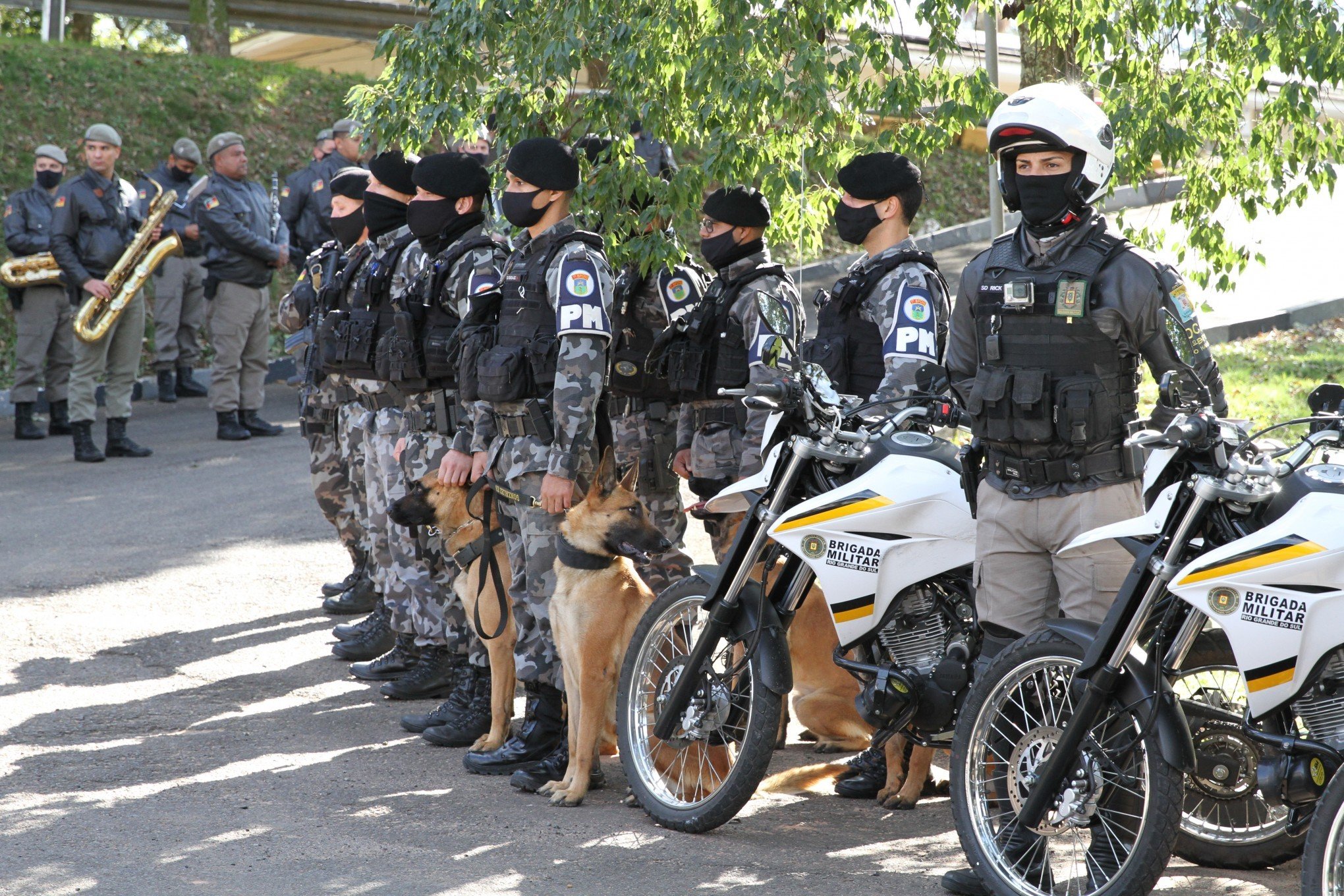 Cães vão reforçar ações da Brigada Militar no Vale do Sinos - Vimarsana News