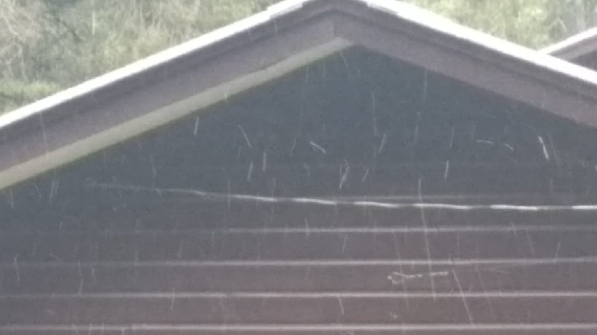 Neve é registrada em cidades gaúchas nesta quarta-feira ...