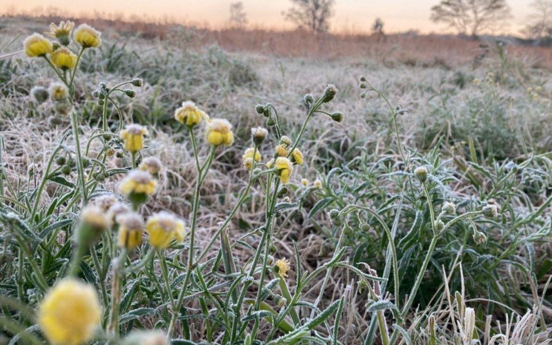 Rio Grande do Sul terá baixas temperaturas neste fim de semana  | abc+