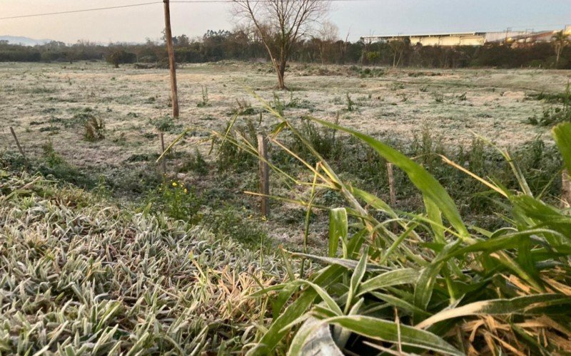 PREVISÃO DO TEMPO: Rio Grande do Sul terá temperaturas negativas e geada após calor fora de época | abc+