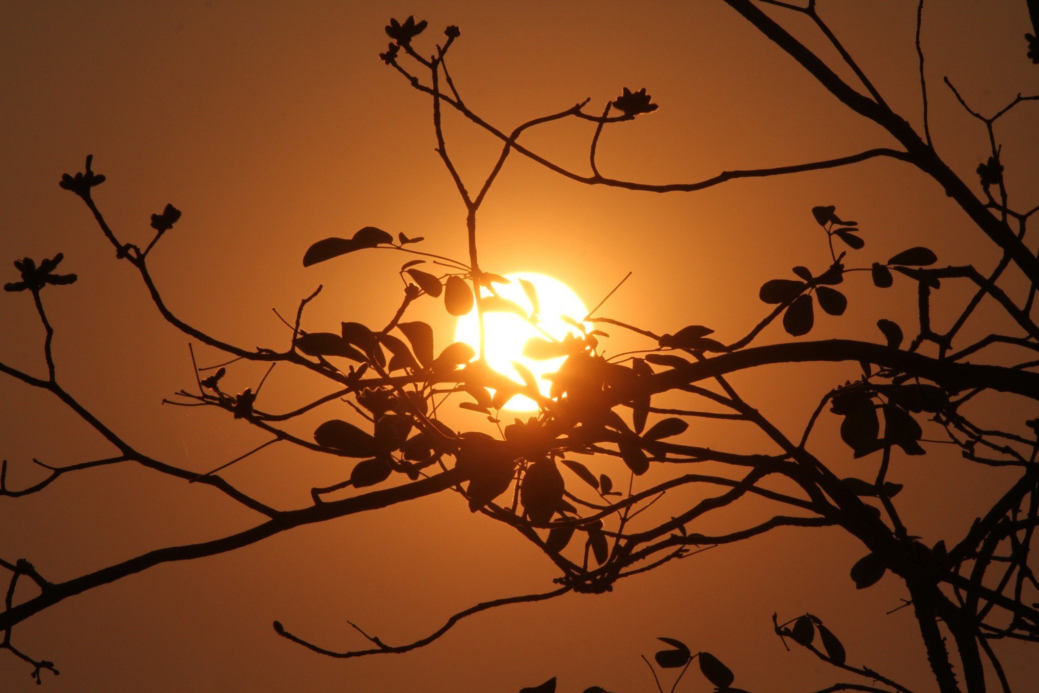 Previsão do tempo: saiba como fica o clima no primeiro fim de